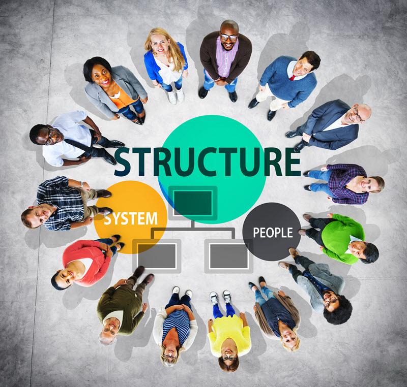 Business Structure