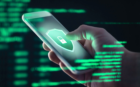 Accc Scam Report