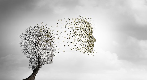6 Steps To Create A Mentally Healthy And Vibrant Workplace