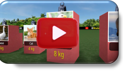 Comparison Of Various Animal Weights